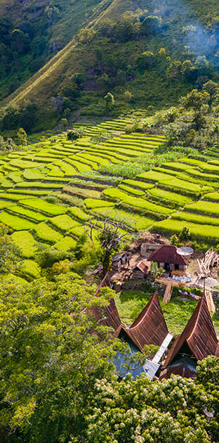 Bonan Dolok Samosir