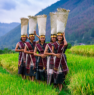 Batak Tradisional Culture