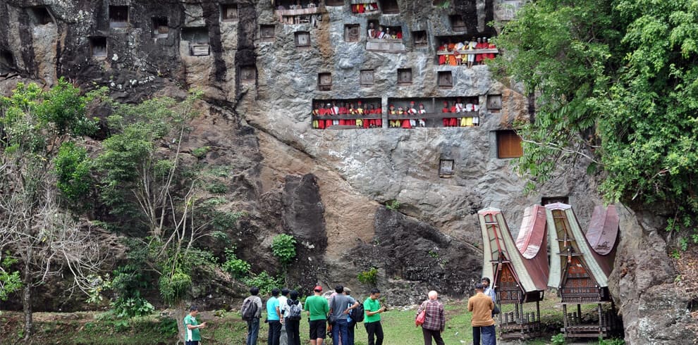 Explore Highlights of Toraja