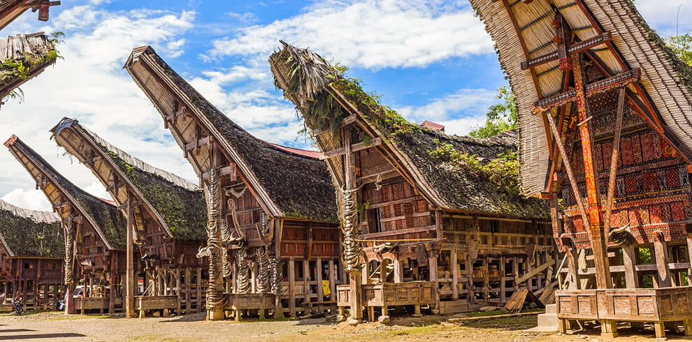 Toraja Village