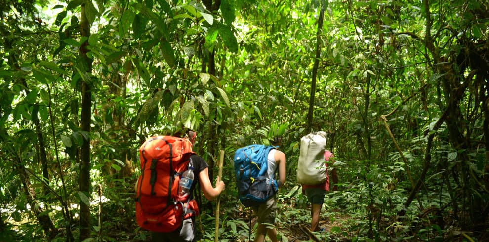 Medan - Bukit Lawang Tracking and Rafting