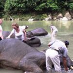 Great Adventure Trip in Sumatra