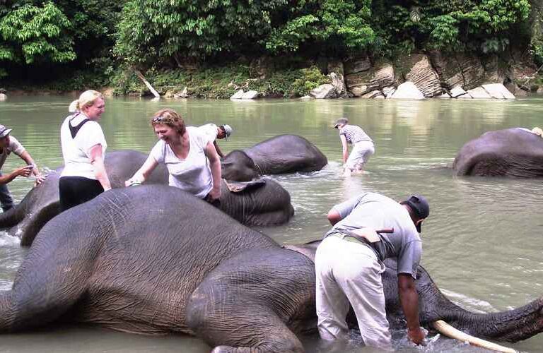 Great Adventure Trip in Sumatra