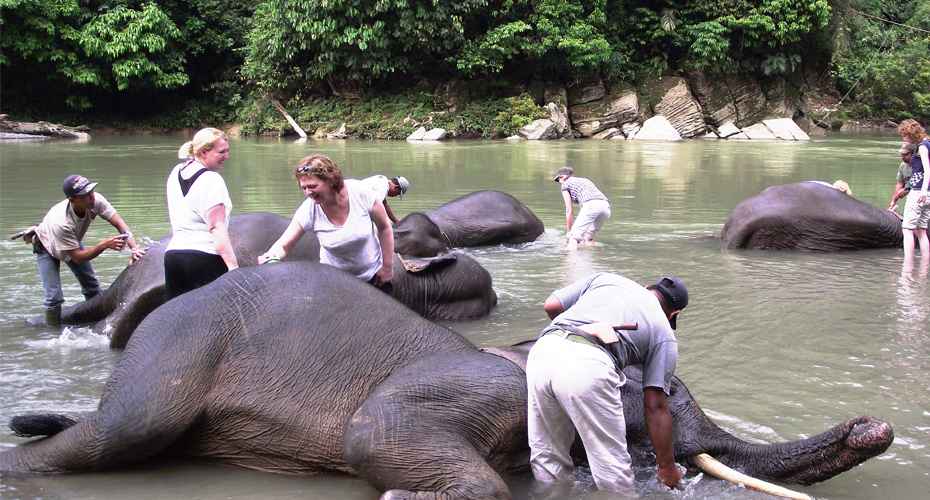 Great Adventure Trip in Sumatra