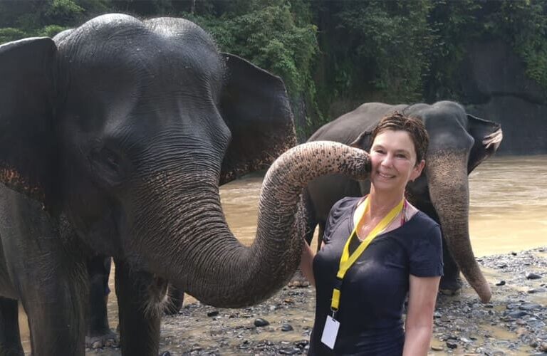 Washing Elephant in Tangkahan